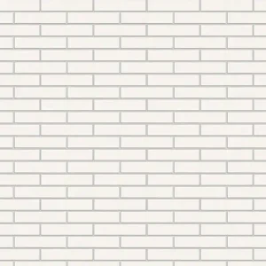 576 unità Mattone Bianco Caravisto 236x114x50 mm Malpesa Laatste Kans