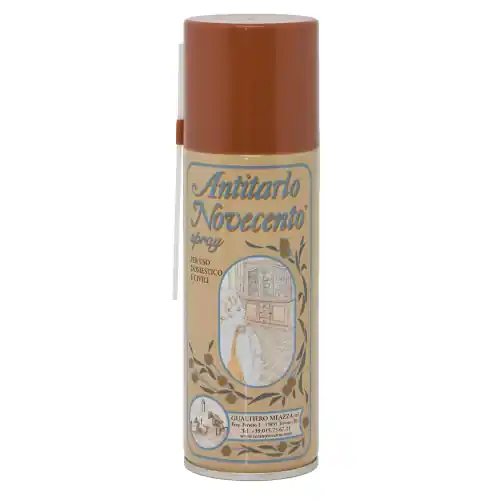 Bestel Nu Antitarlo spray 200 ml per tutti gli insetti che attaccano tutti i tipi di legno travi e perline