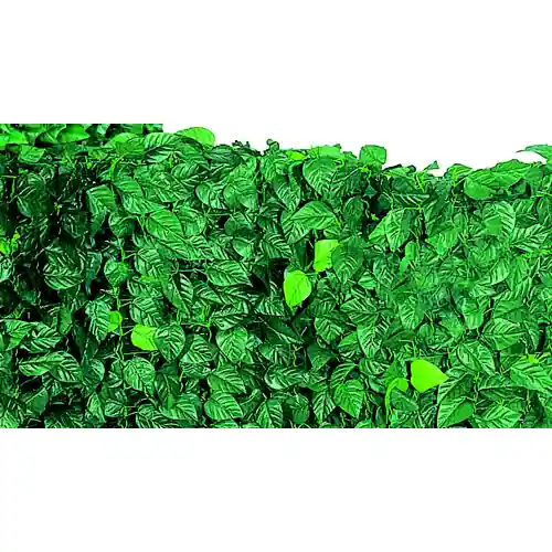 Arella sempreverde Lauro in polipropilene cm 2000x100 siepe artificiale da esterno giardino Gereduceerde Prijs