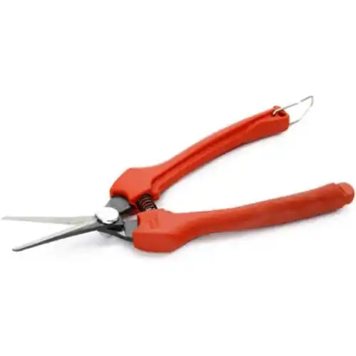 Gratis Retour Bahco forbici forbice cogliuva con lama piegata in acciaio inox cm.19 con fodero per vendemmia uva fiori