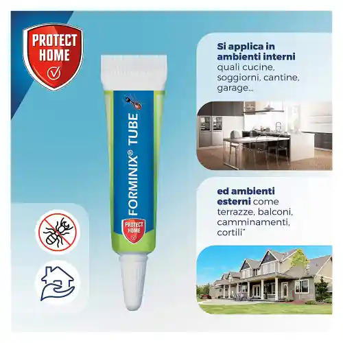 Bayer 4 gr tubetto gel formiche Solfac insetticida liquido antiformiche Direct Verzonden