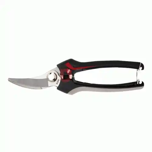 Lage Prijs Bellota art 3622 forbici cogliuva lama inox curva 19 cm per raccolta uva