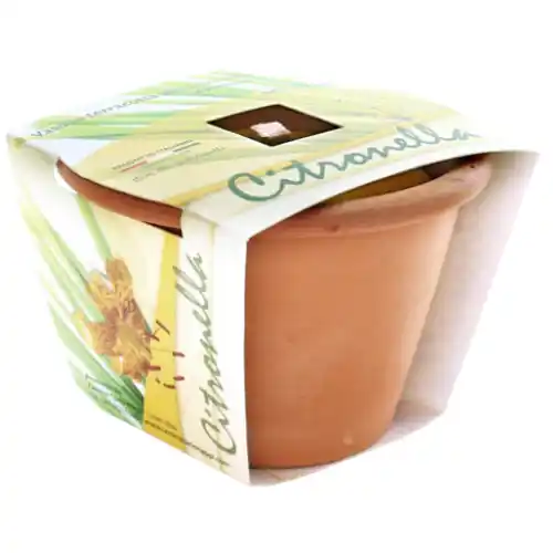 candela citronella in coccio vasetto cm Ø 13x9h con stoppino fiaccola antivento Lage Kosten