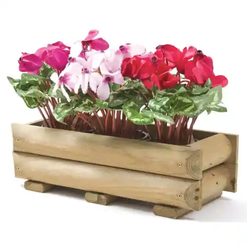 Cassetta portafiori e piante cm 70x25x19 in legno di pino impregnato fioriera per terrazzo giardino esterno Must-Have