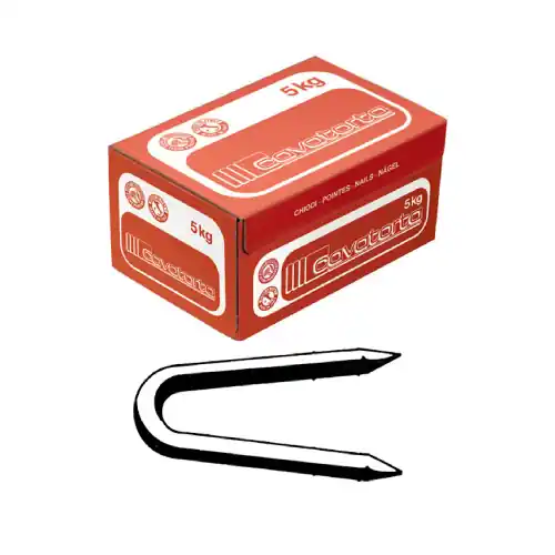 Superprijs Cavatorta chiodi cambretta in acciaio 18x403,5x40 mm 2 punte confezione 5 kg punte c