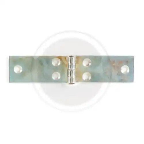 Uitverkoop cerniera lunga in acciaio zincato con perno fisso 20x60 mm ase a libretto