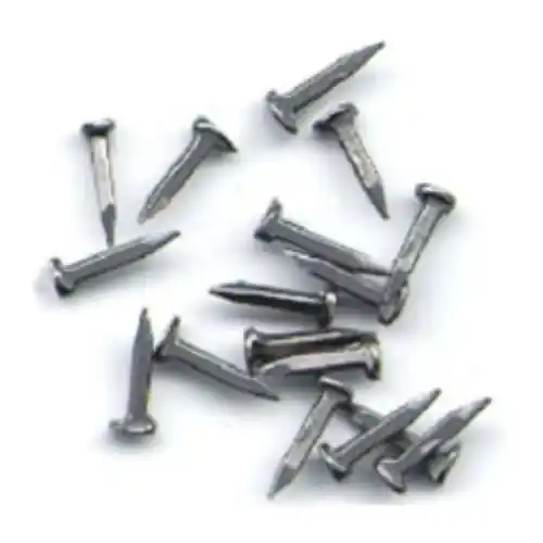 Weekendaanbieding Cf 1 kg chiodi semenze puntine sellerine in acciaio da 10 mm chiodo per legno