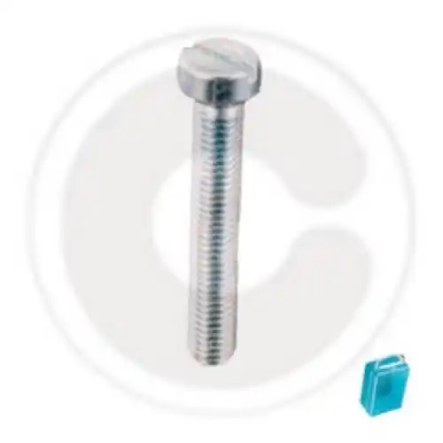 Favoriet cf 10 pz vite viti a metallo testa cilindrica passo grosso Ø 6x30 mm con dadi