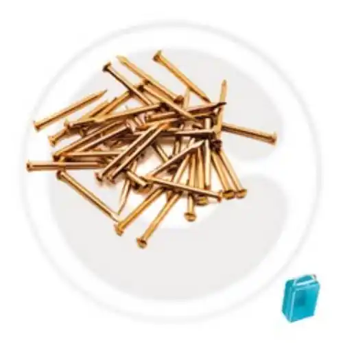Shop Nu cf 60 gr di punte puntine testa bombata in ottone mm 1,5x18 chiodini semenze