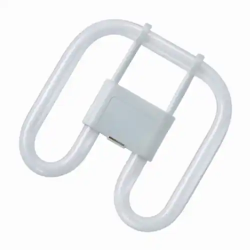 Seizoensaanbieding Cilvani lampada neon a farfalla 16W luce bianco freddo 4-PIN GR10q 6500K