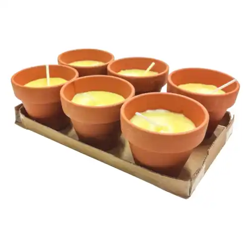 Citronelle Pollicino 6 pz candele citronella Ø 70x60 mm antizanzare Goedkoop