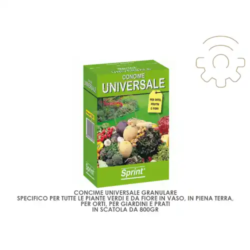 Express Levering concime granulare universale per piante verdi fiori giardino orto prato giardinaggio 800 gr